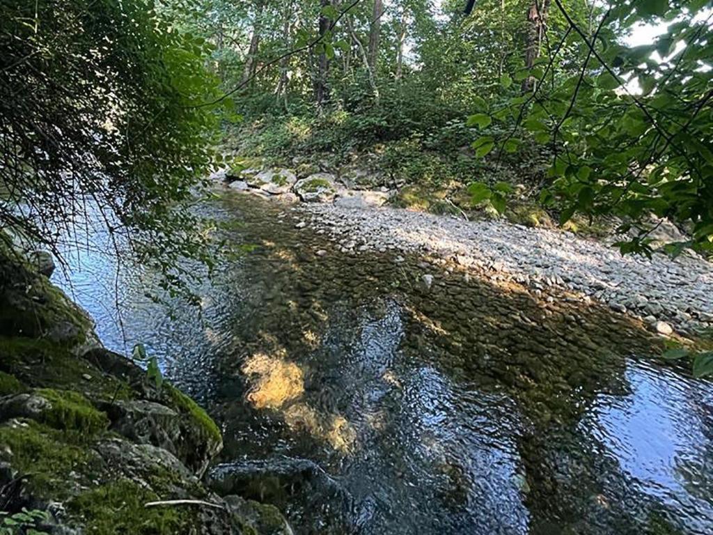 Haus Am Bach Lägenhet Erl Exteriör bild