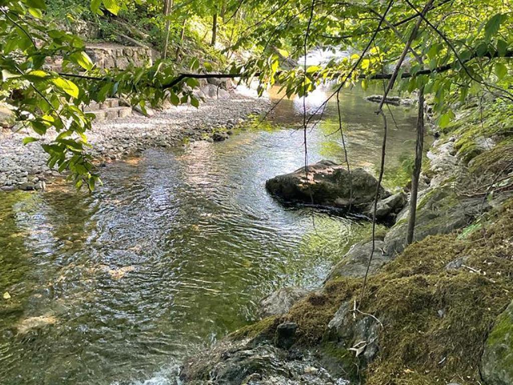 Haus Am Bach Lägenhet Erl Exteriör bild